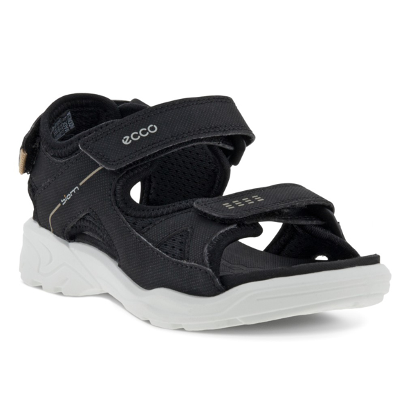 Ecco Biom Raft Sandal