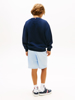 Tommy Hilfiger Graphic Sweatshirt