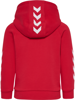 Hummel DBU Hoodie