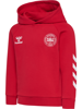 Hummel DBU Hoodie