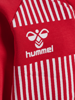 Hummel Reg DBU Zip Jacket